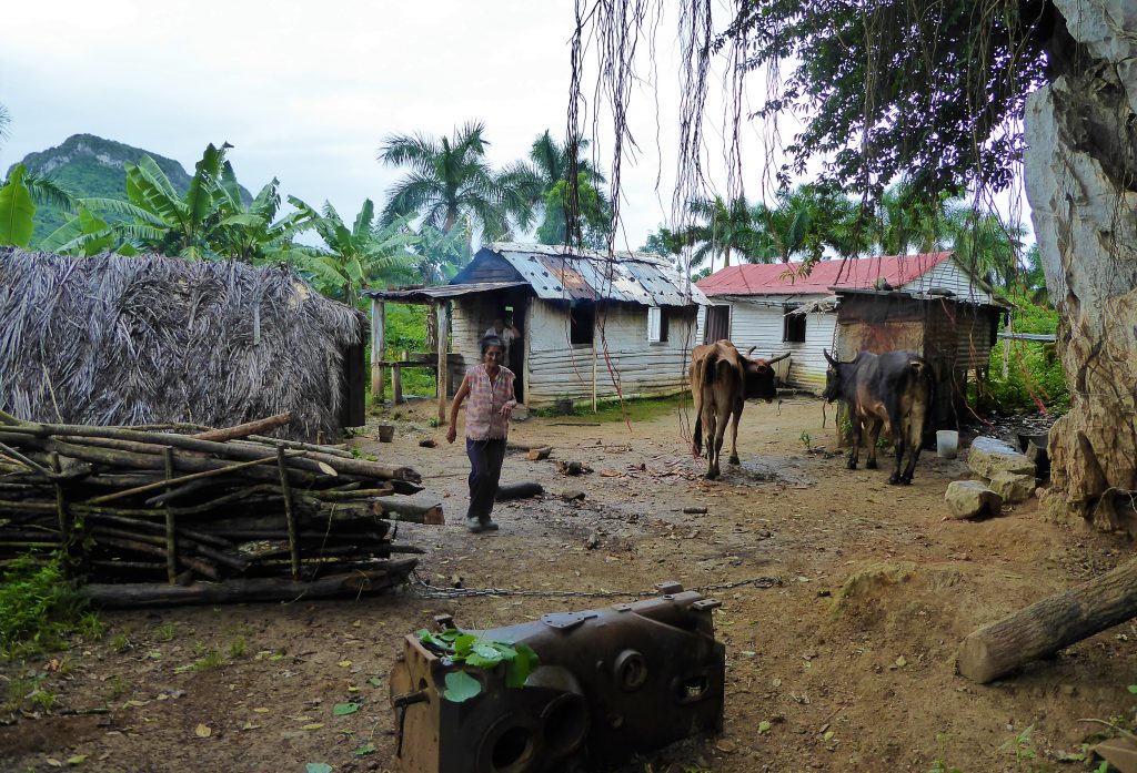 Hiking to the cigar farm in the Viñales Valley - Cuba