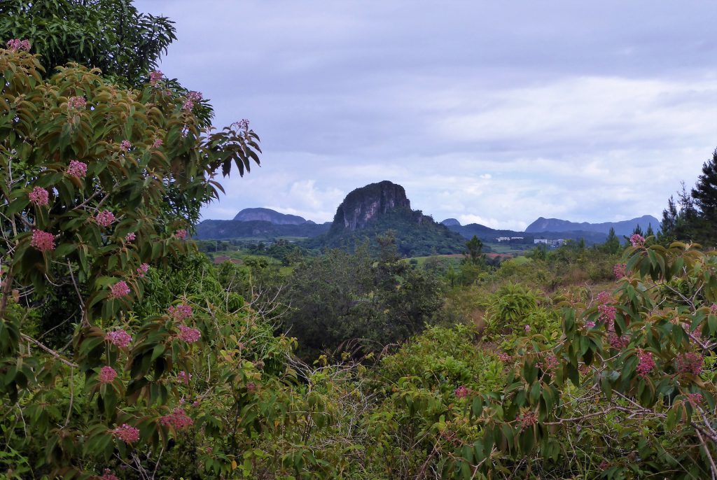 Nature in the Viñales Valley - Cuba