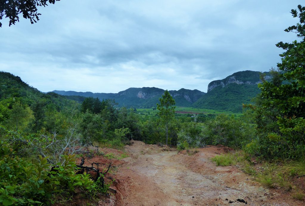 Hiking To The Cigar Farm In The Vinales Valley Cuba Safe And Healthy Travel