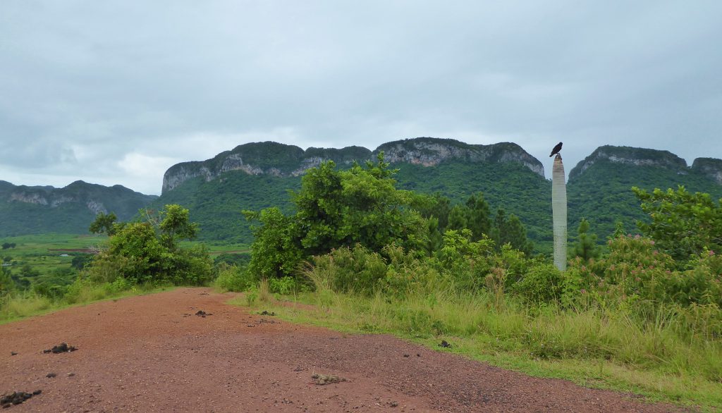 Nature in the Viñales Valley - Cuba