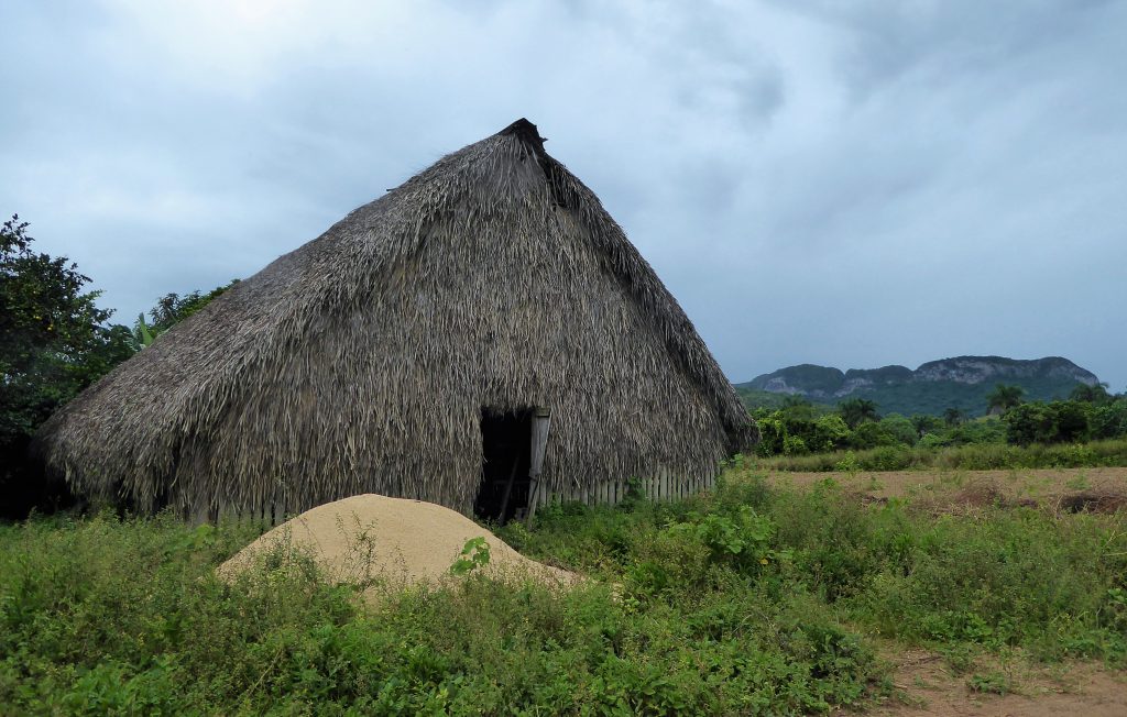 Hiking to the cigar farm in the Viñales Valley - Cuba