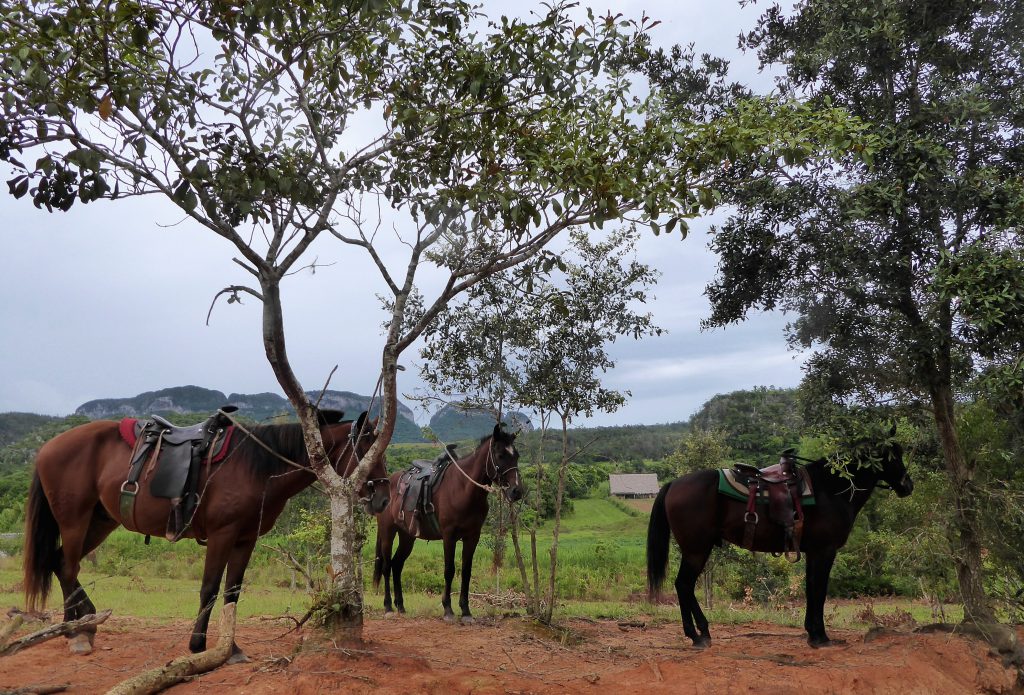 Hiking to the cigar farm in the Viñales Valley - Cuba