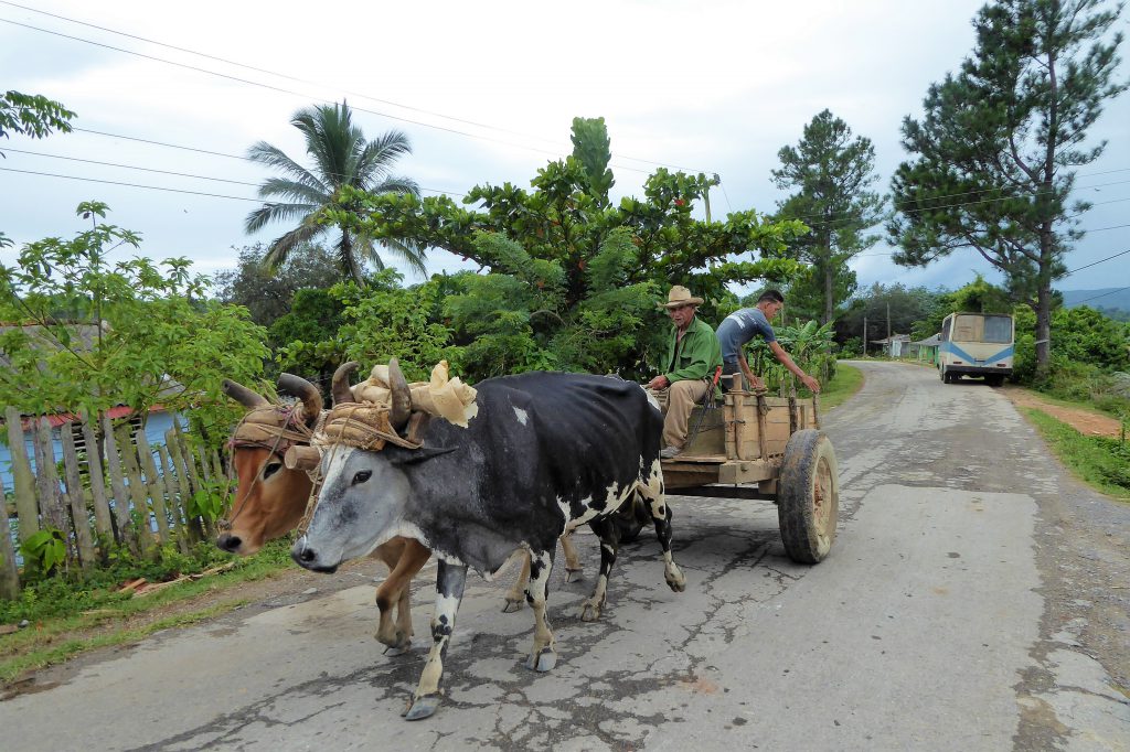 Hiking to the cigar farm in the Viñales Valley - Cuba