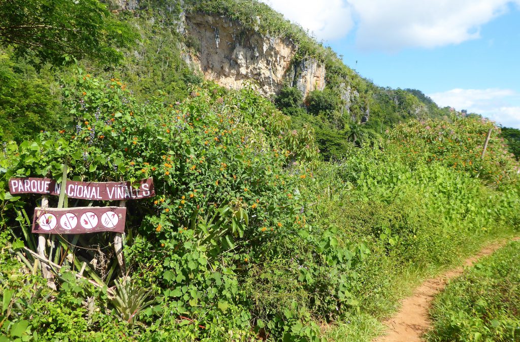 Cycling in the Viñales Valley - Cuba