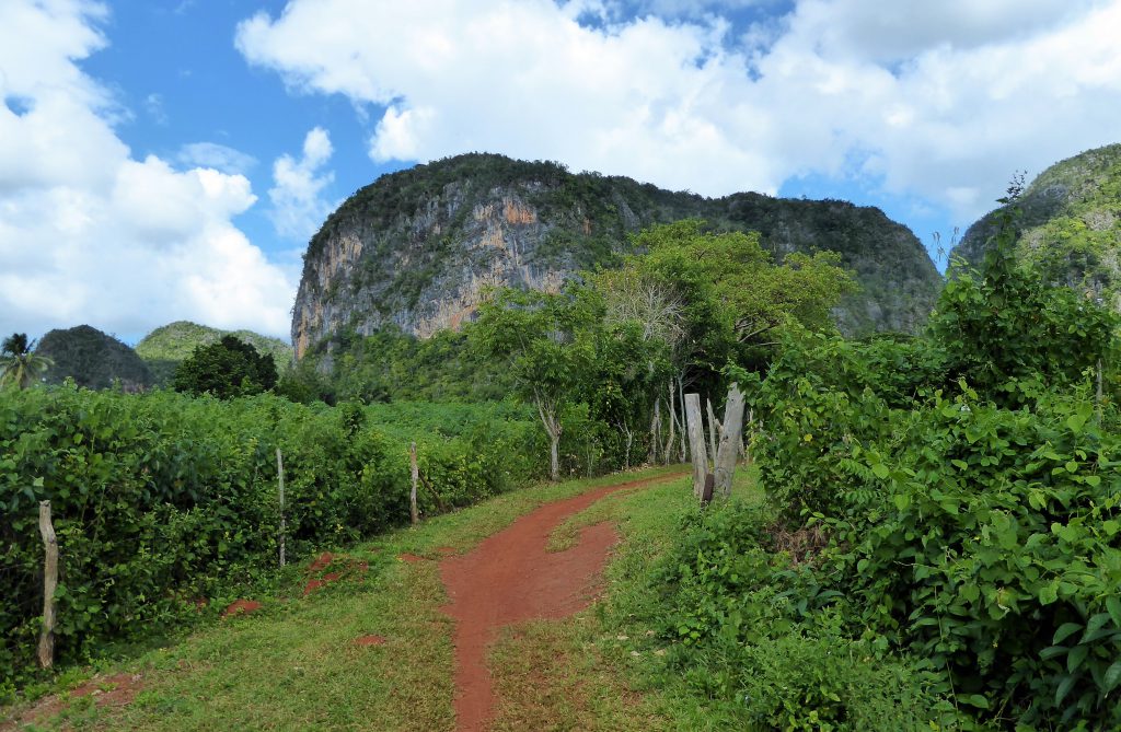 Cycling in the Viñales Valley - Cuba