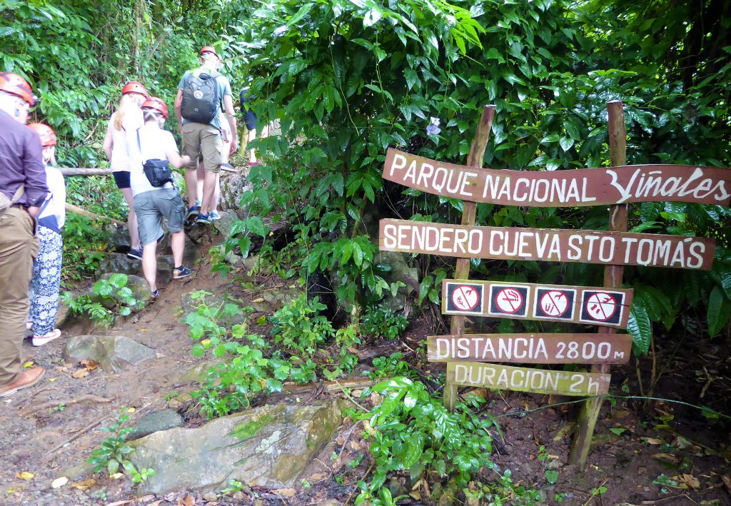 Cuevo de Santo Tomas near the Viñales Valley - Cuba