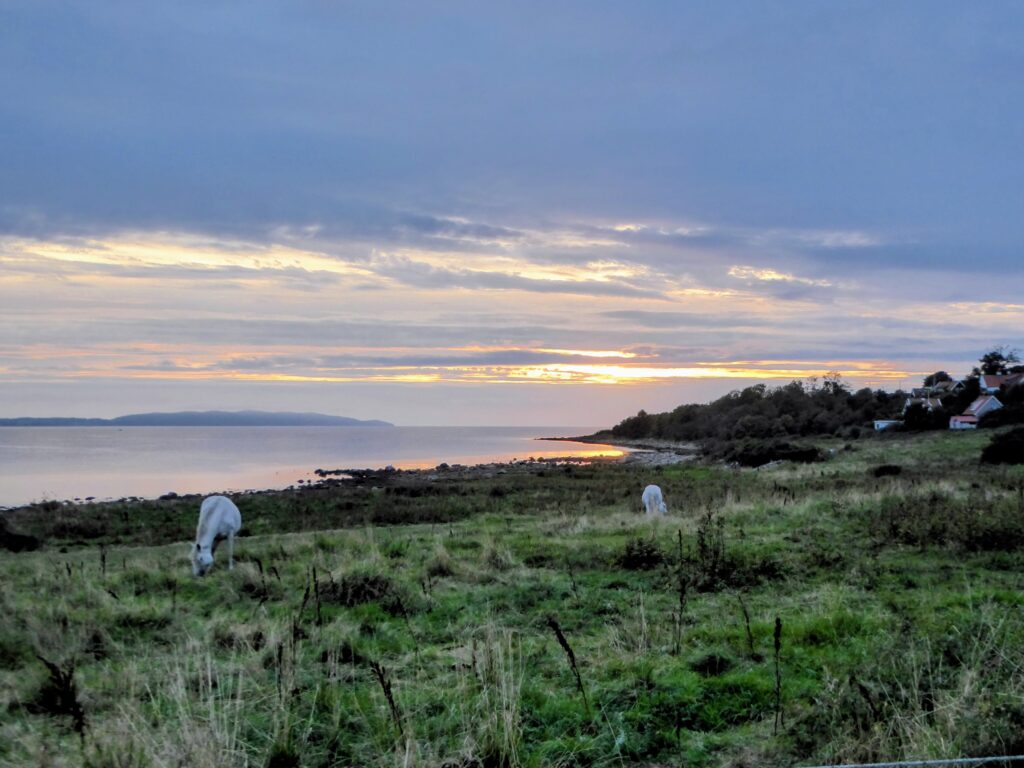 Sunset along the Swedish Coastline