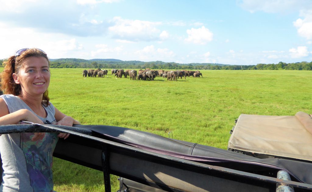 Looking at the elephants in Kaudulla NP