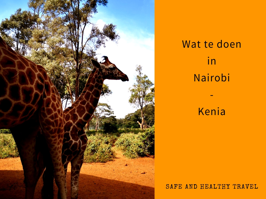 Wat te doen in Nairobi Kenia Safe and Healthy Travel