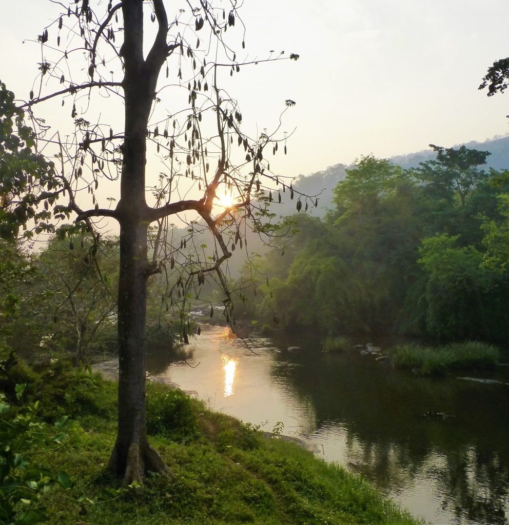 River behind my hotel - Kerala