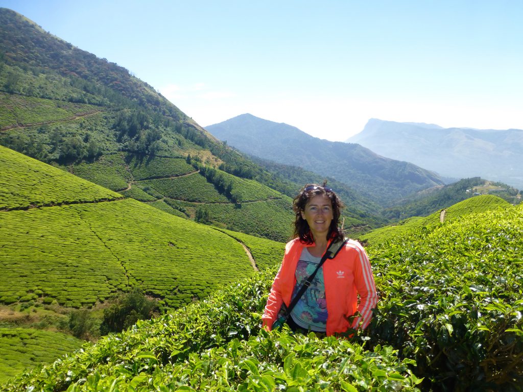Teaplantation Kerala