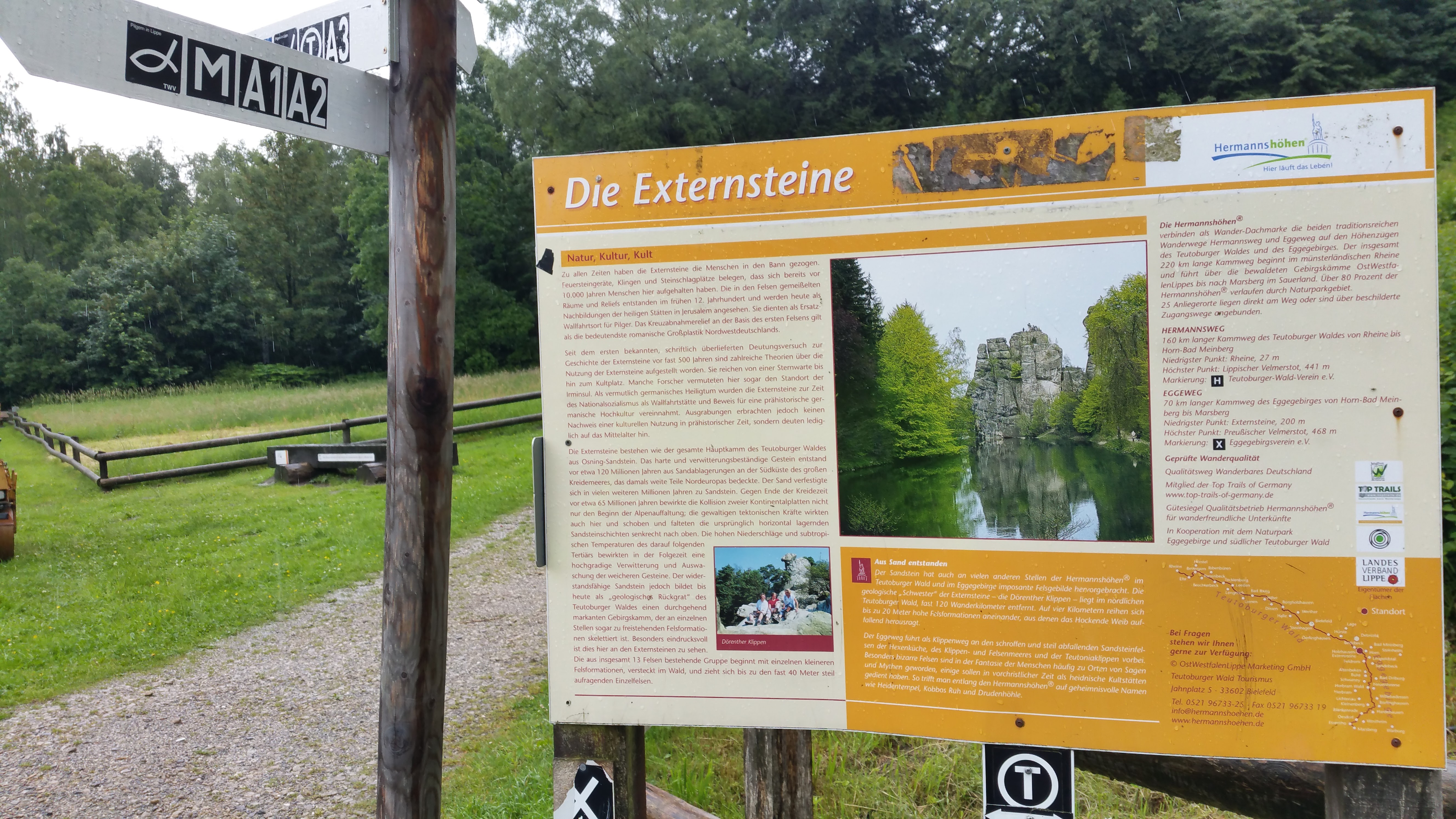 De Externsteine in het Teutoburgerwald - Horn-Bad Meinberg De Externsteine in het Teutoburgerwald - Horn-Bad Meinberg