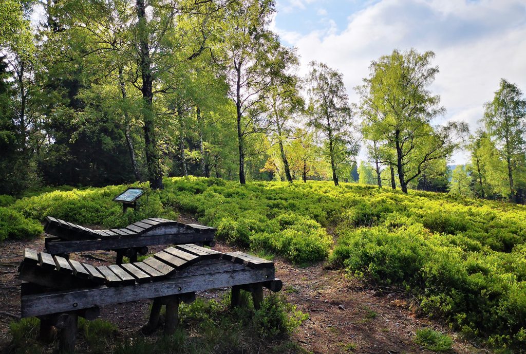 Hiking in Germany - Best Benches ever!!