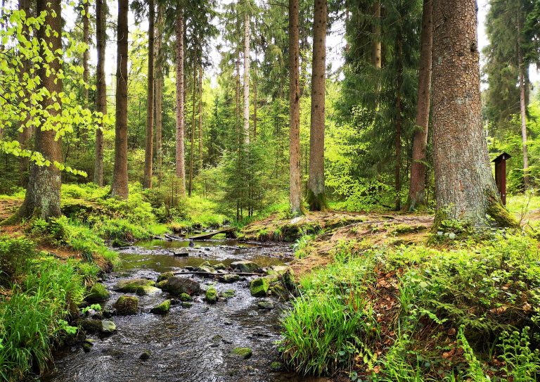 Hiking In Germany - The Hermannshoehen Hiking Trail - Safe And Healthy ...