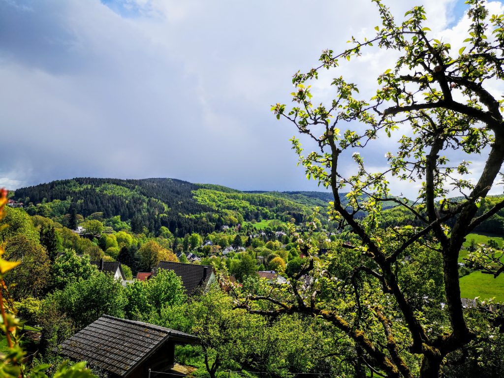 The Hermannshoehen (Hermann Heights) Hiking Trail