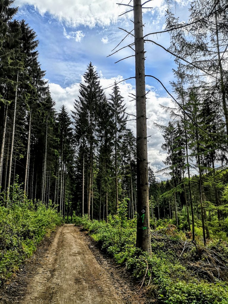 Hiking in Germany 