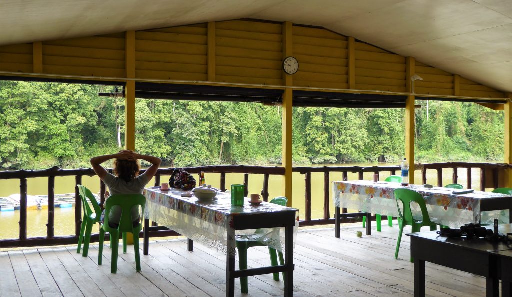 Tanjung Bulat Jungle camp - Borneo