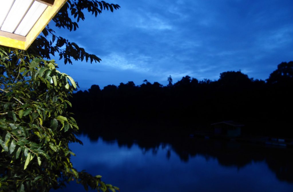 Oxbow Lake, Kota Kinabatangan