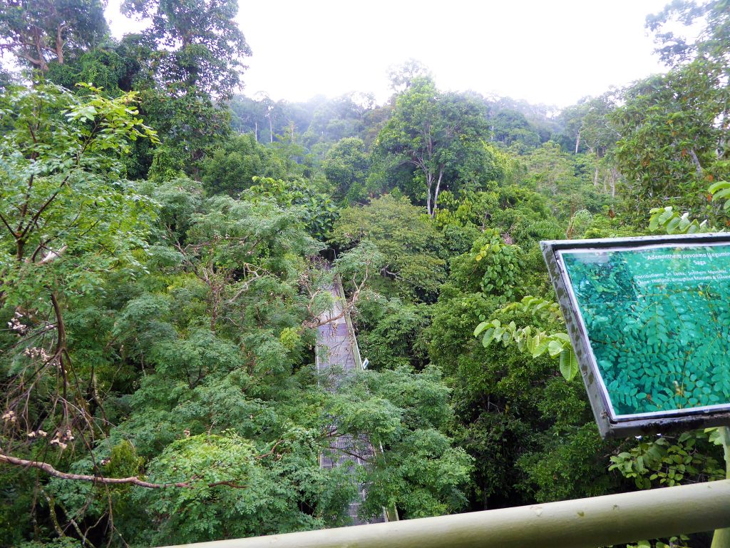 Bezienswaardigheden Borneo