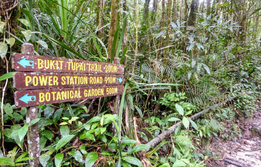 Borneo bezienswaardigheden