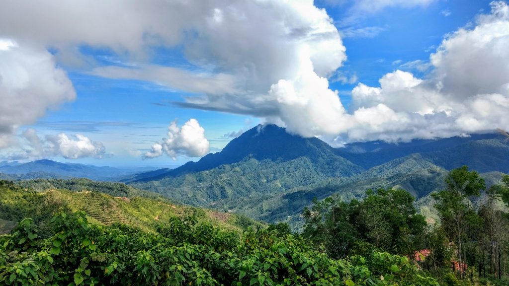 Travel Tips for Borneo