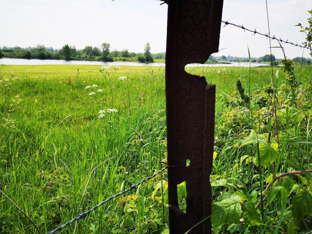 Hiking the Hanzestedenpad - SP11 - Hiking along the river IJssel - The Netherlands