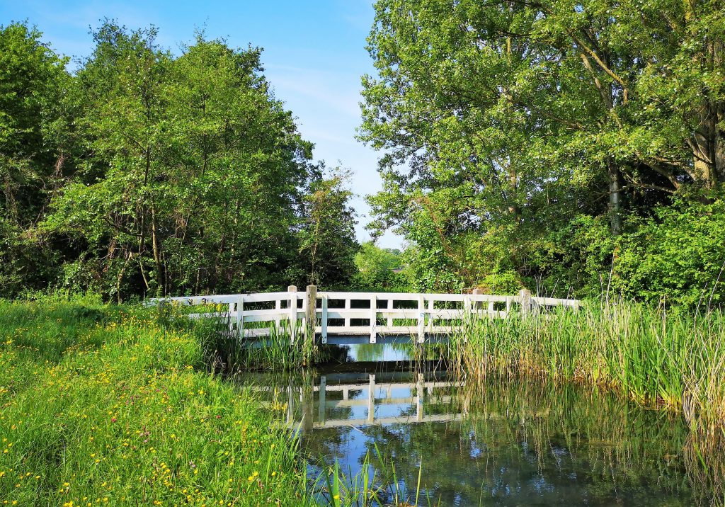 Wandelen langs de IJssel