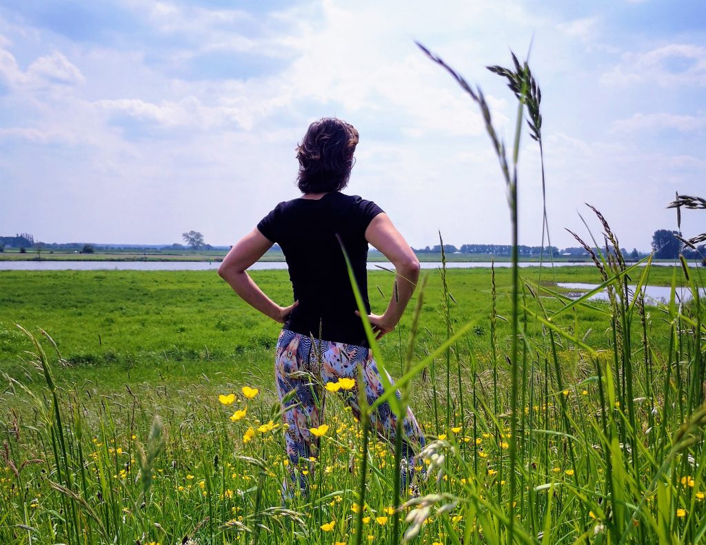 Hiking the Hanzestedenpad - SP11 - Hiking along the river IJssel - The Netherlands