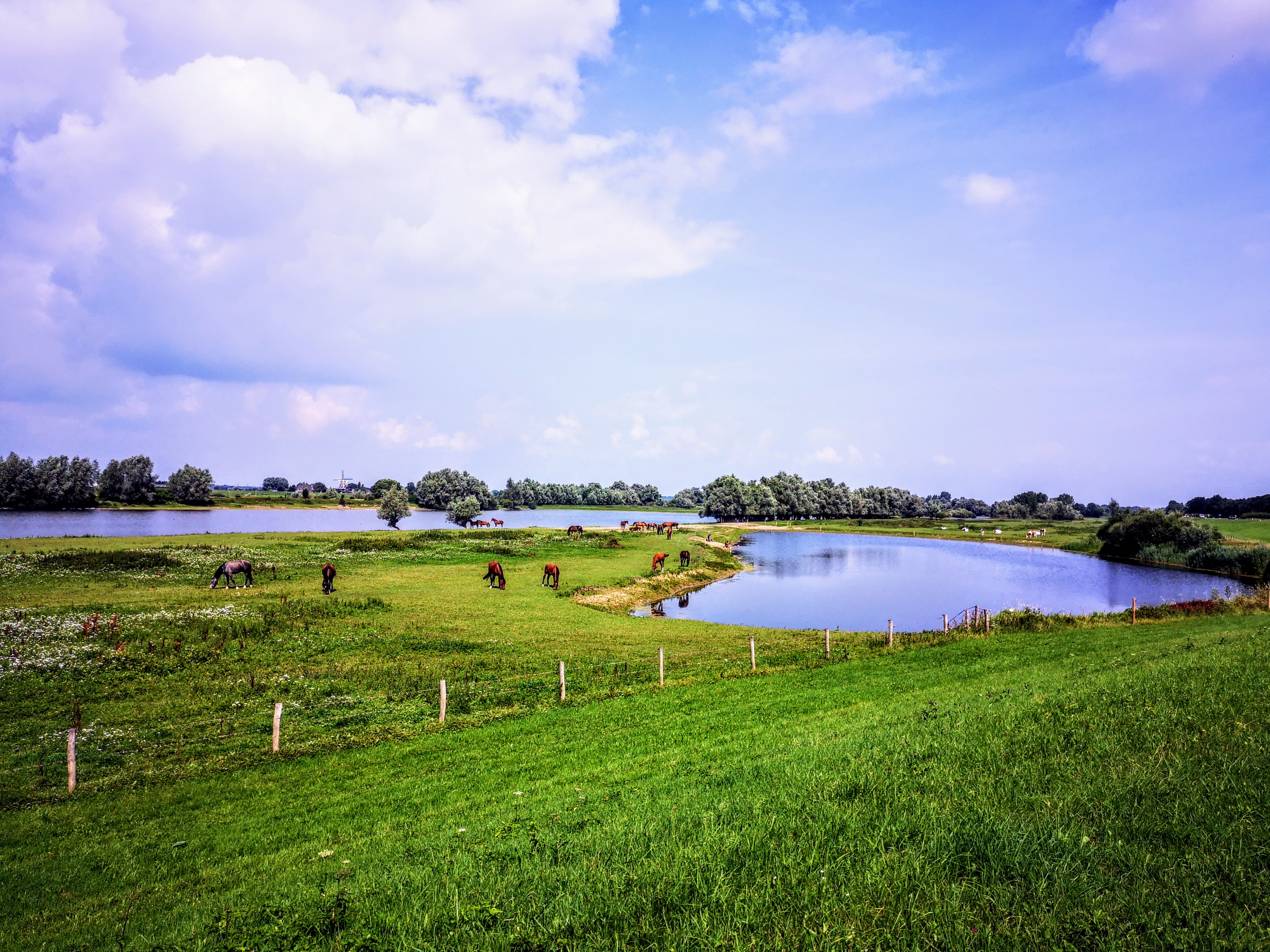 Hanzestedenpad stage 05 Den Nul to Windesheim