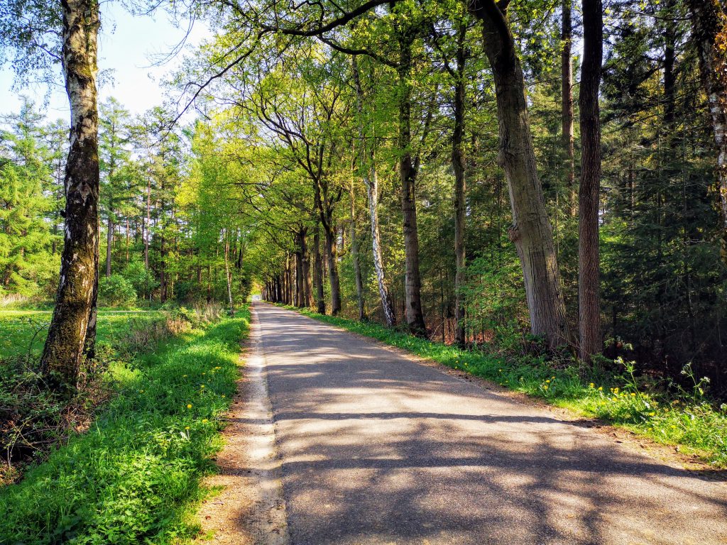 Hiking the Hanzestedenpad - SP11 - Hiking along the river IJssel - The Netherlands