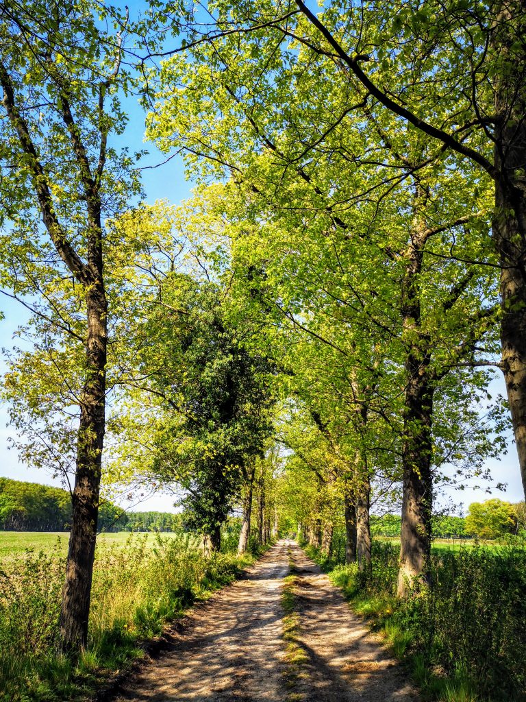 Hiking the Hanzestedenpad - SP11 - Hiking along the river IJssel - The Netherlands