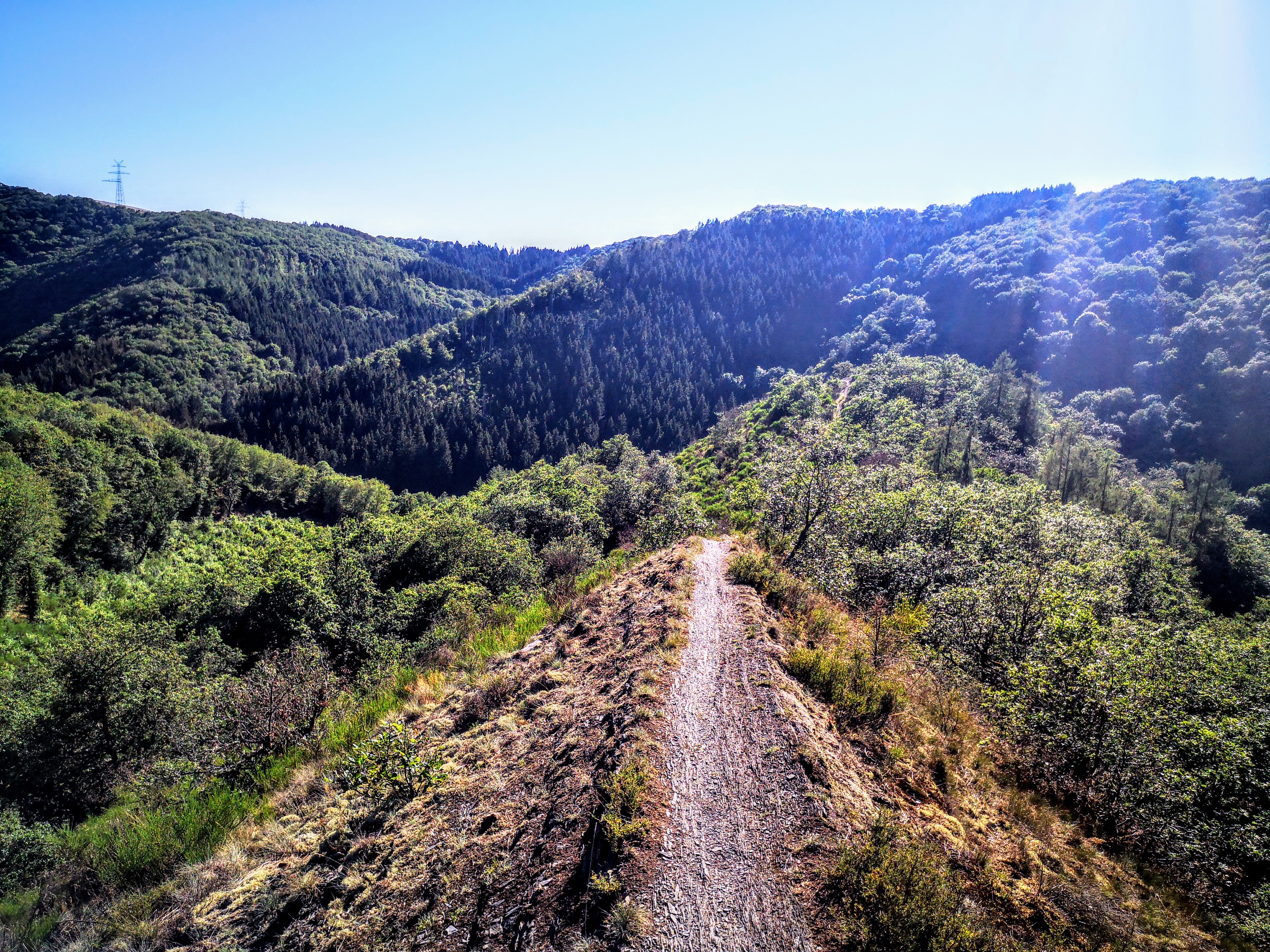 Escapardenne Lee Trail Hiking Luxembourg