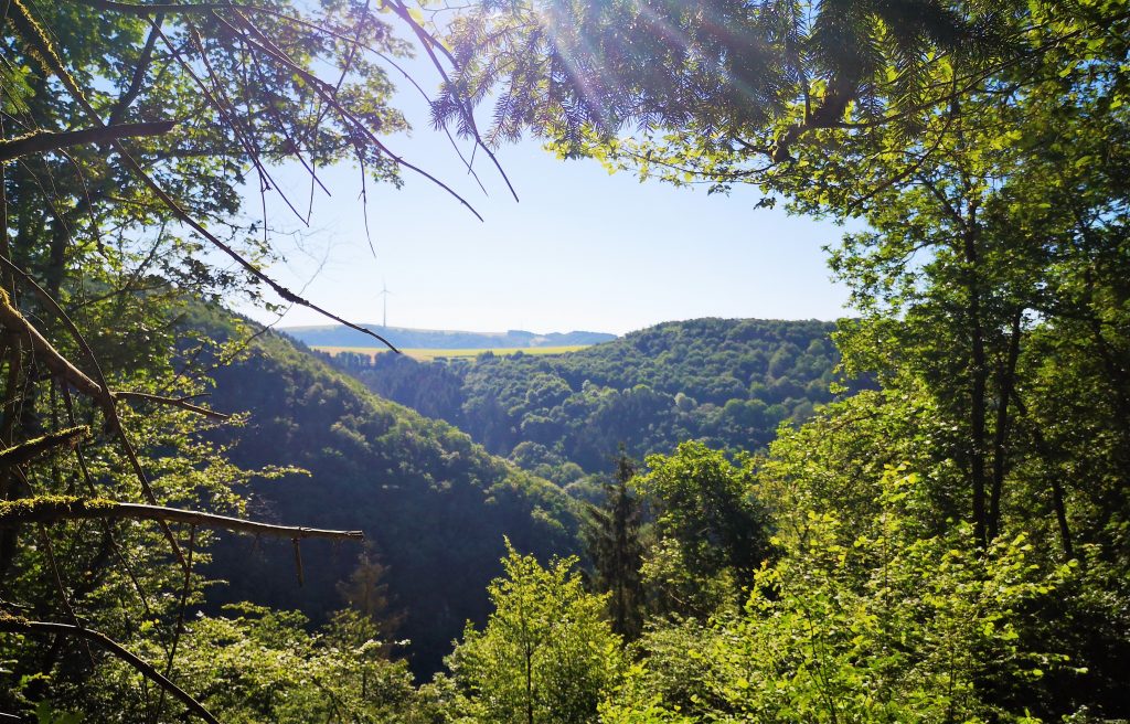 Trektocht in Luxemburg