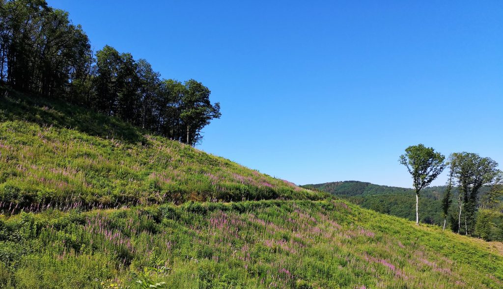 Lee Trail in 3 dagen - Luxemburg