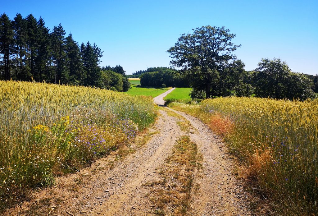 Meerdaagse trektochten in Luxemburg