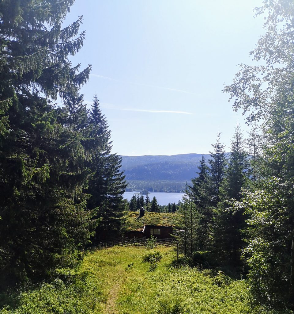 Wandelen op de Pelgrimsroute St Olavsleden in Noorwegen