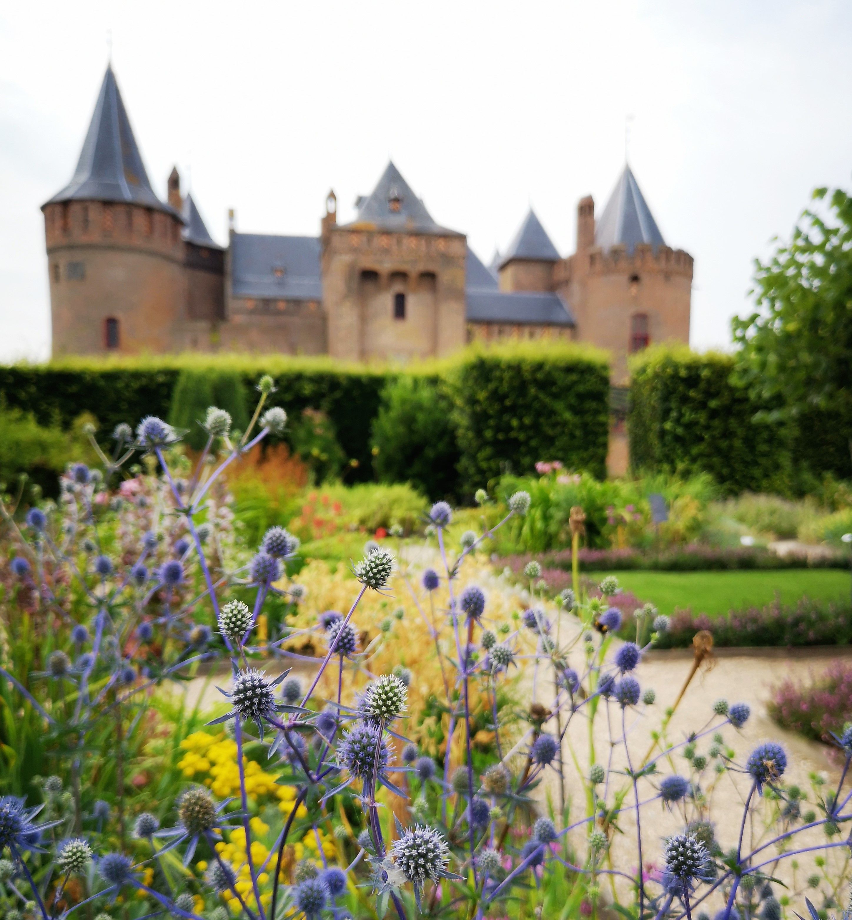 Kasteel Muiderslot Kasteel Muiderslot