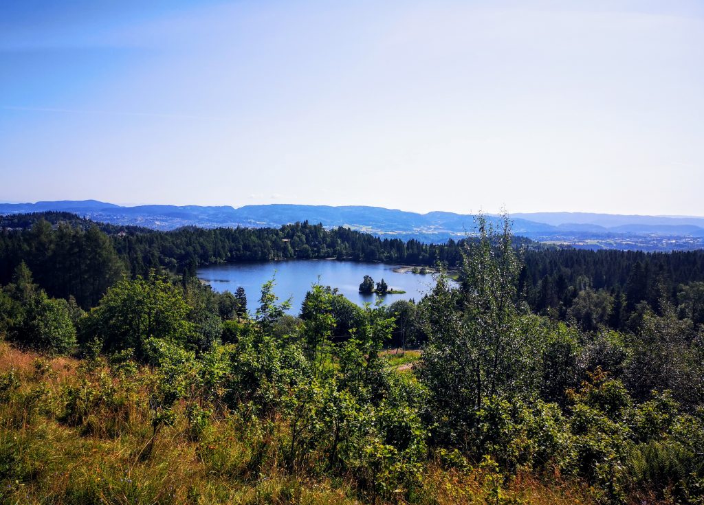 Lian trail - Trondheim