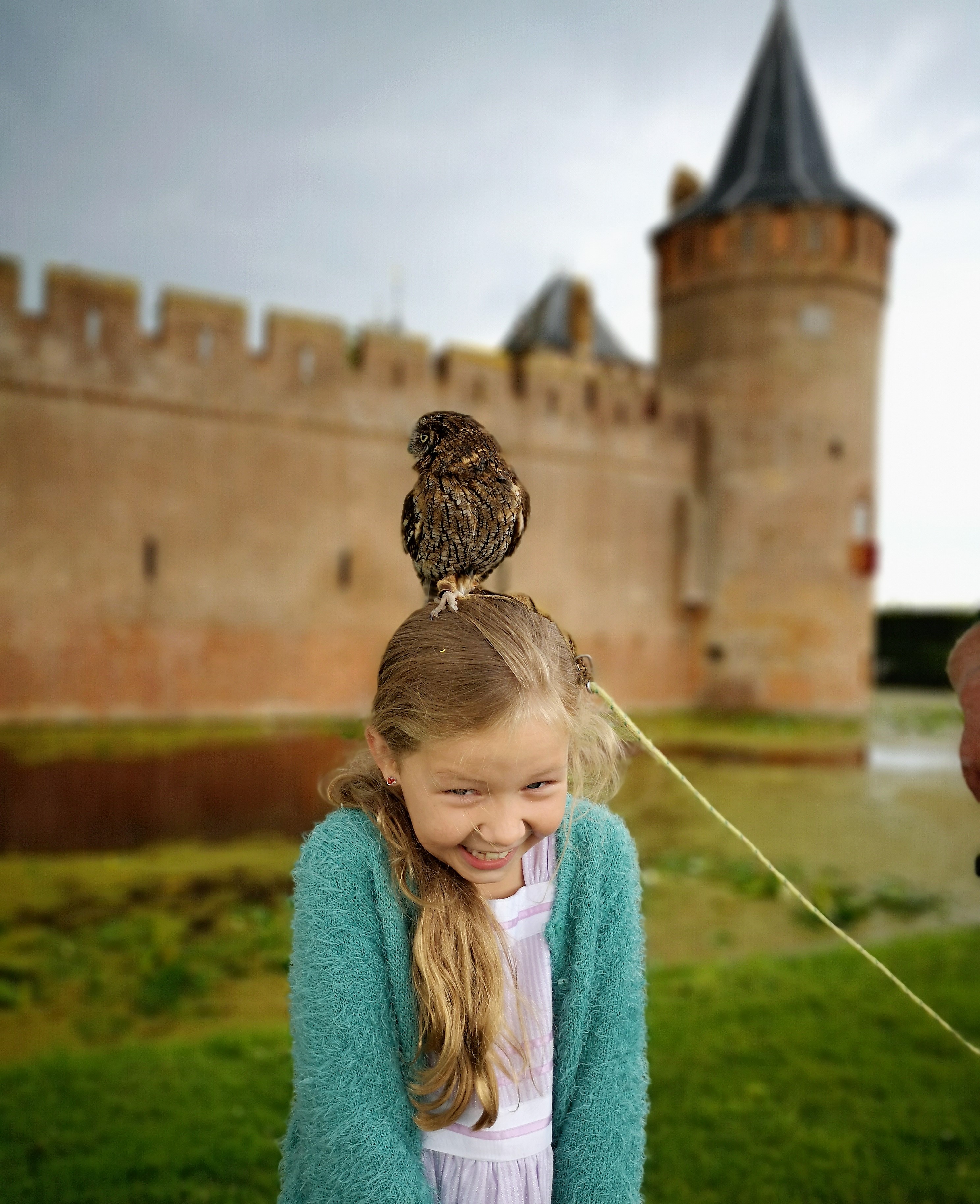 Valkenier Kasteel Muiderslot