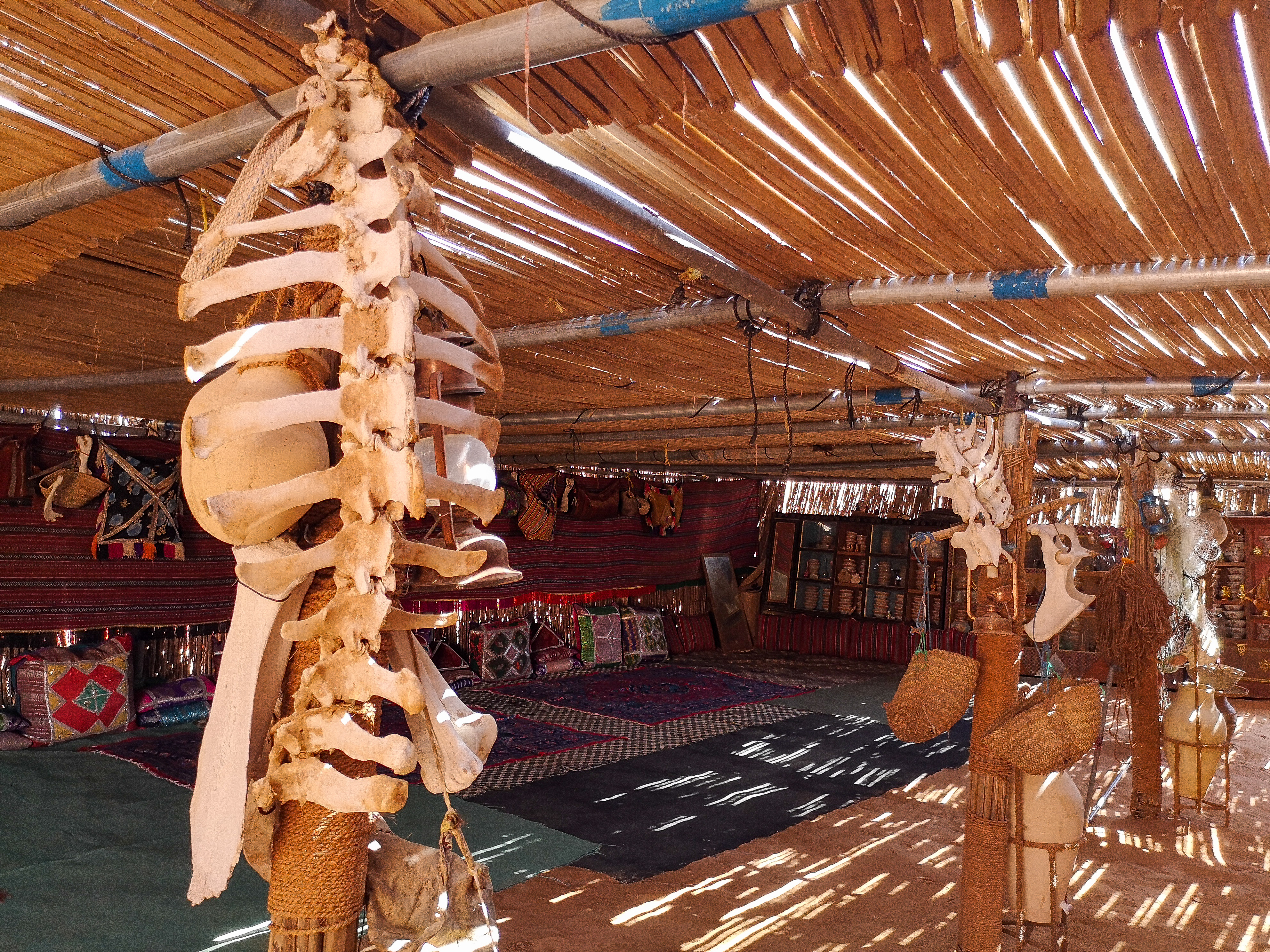 In the nomad tent, desert Oman Adventurous Travel in Oman