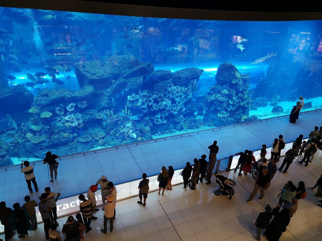 Dubai Mall Aquarium