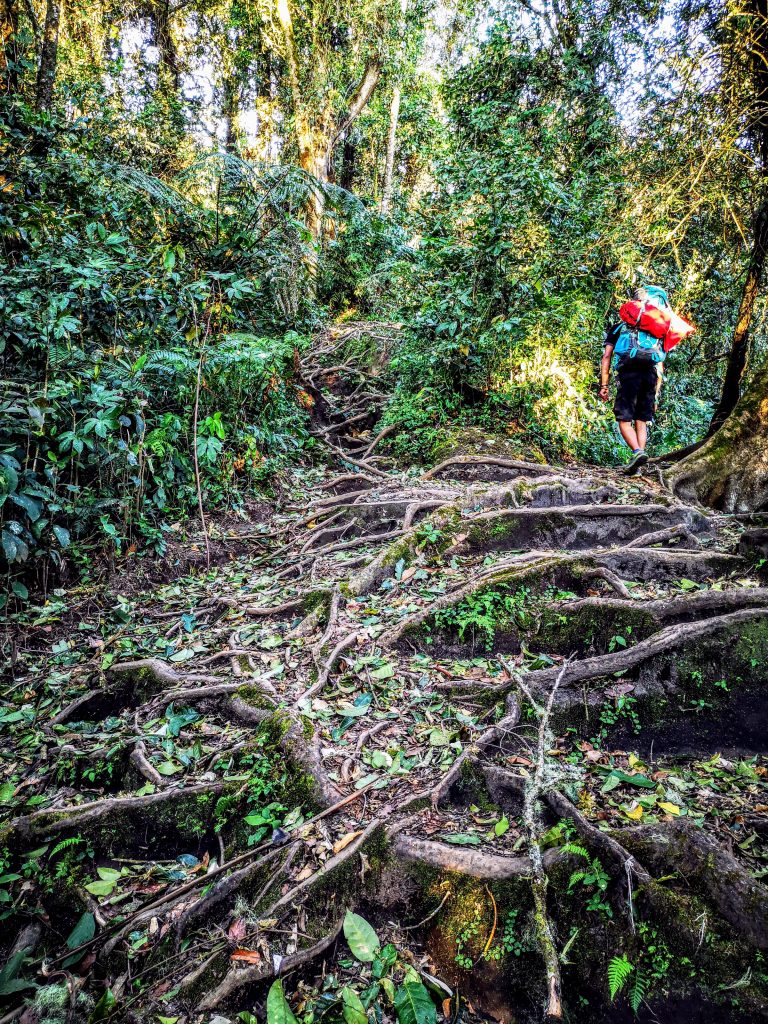 Vulcano Camping Gunung Marapi - Sumatra, Indonesia