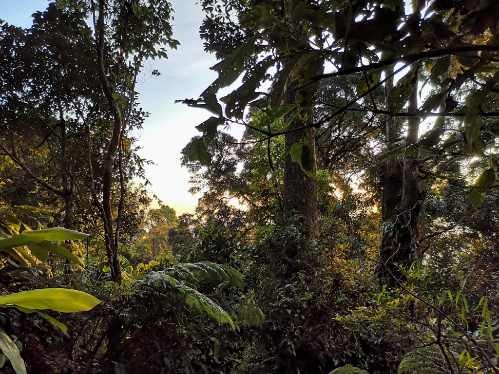 Gunung Marapi - Sumatra, Indonesie