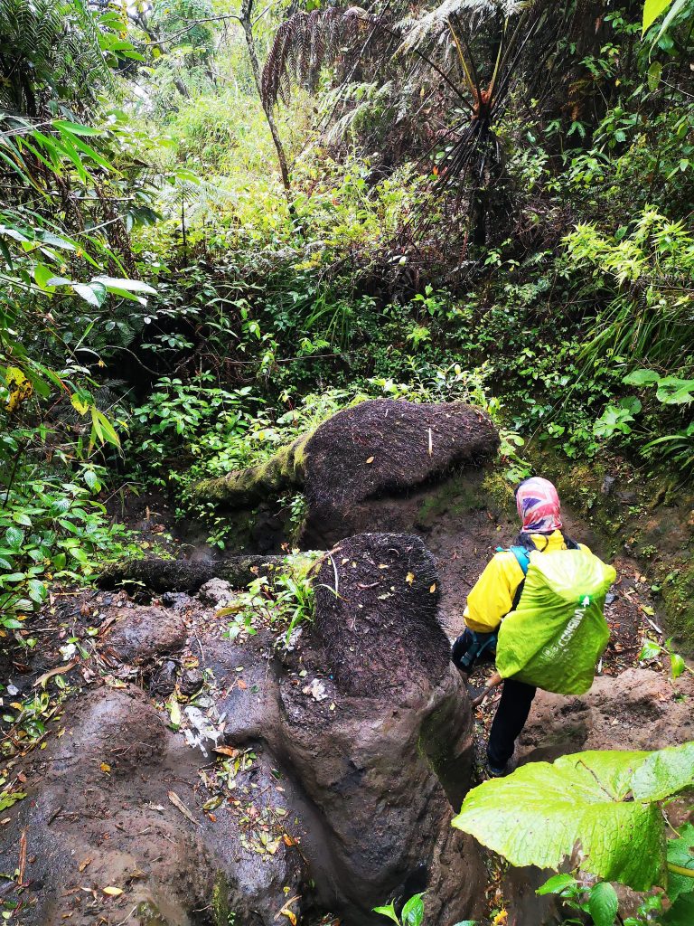 On the way down - Gunung Marapi - Sumatra, Indonesia