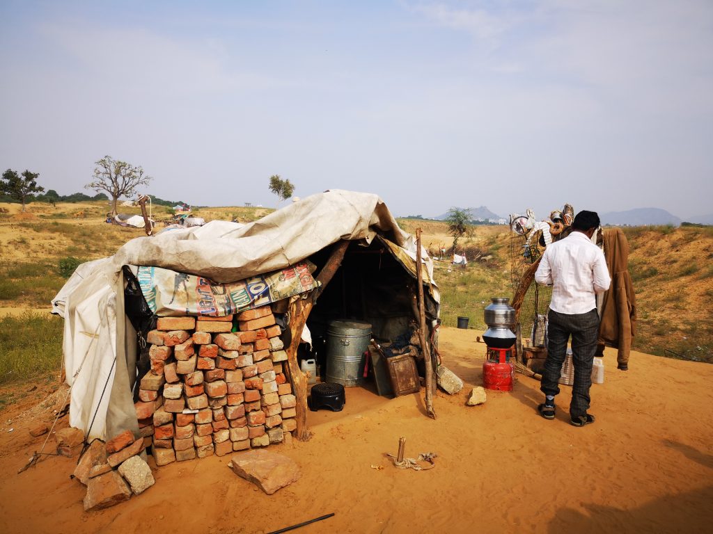 Tent camp just outside of Pushkar, India