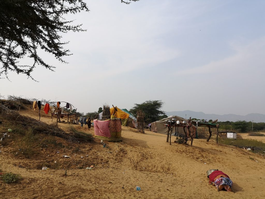 Tent camp just outside of Pushkar, India