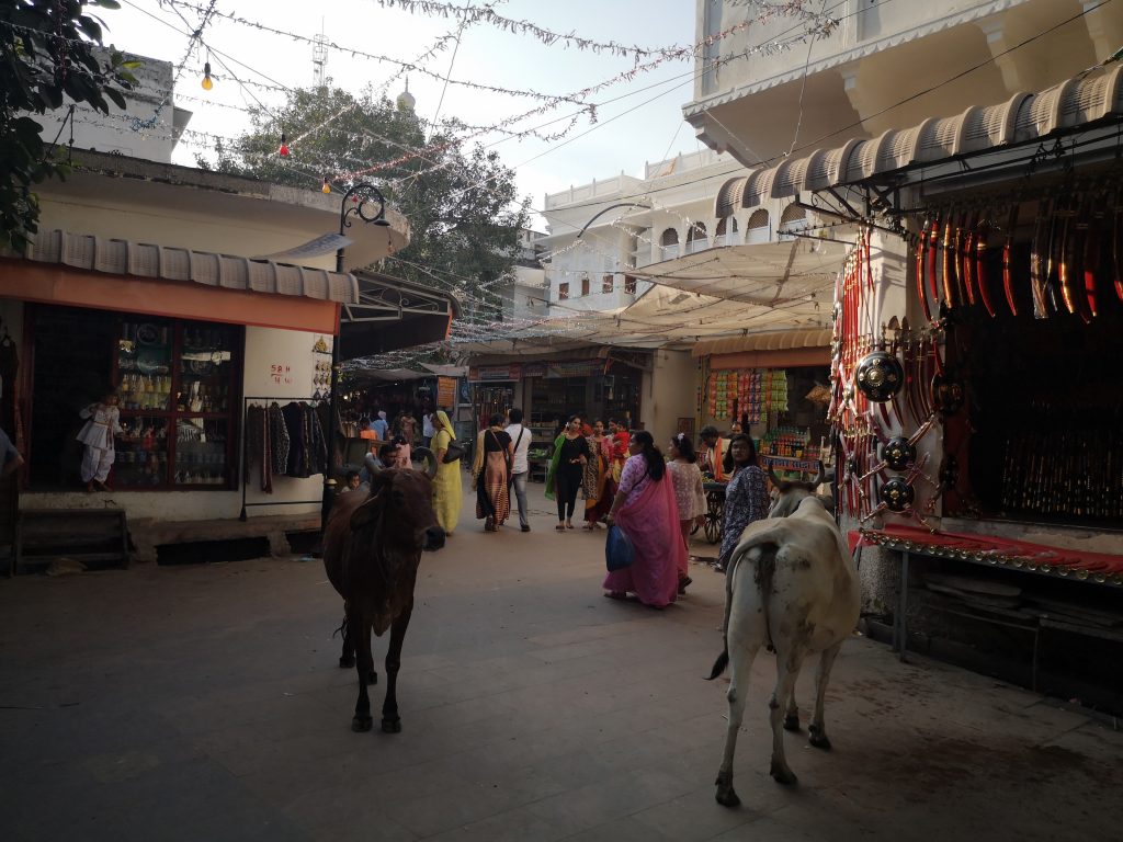 Heilige Stad Pushkar, Rajasthan - India