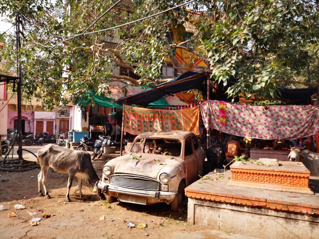 Bharatpur Palace - Pushkar, Rajasthan, India