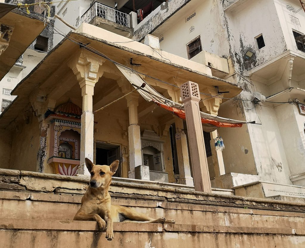 Pushkar, Rajasthan - India