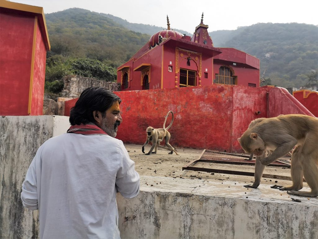 Pushkar ontdekken - Rajasthan, India